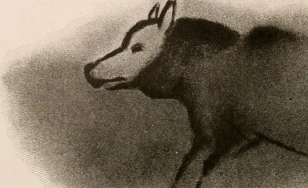 An illustration from Men of the old stone age : their environment, life and art, 1916, leaf 387