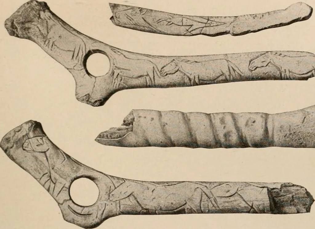 An illustration from Men of the old stone age : their environment, life and art, 1916, leaf 392