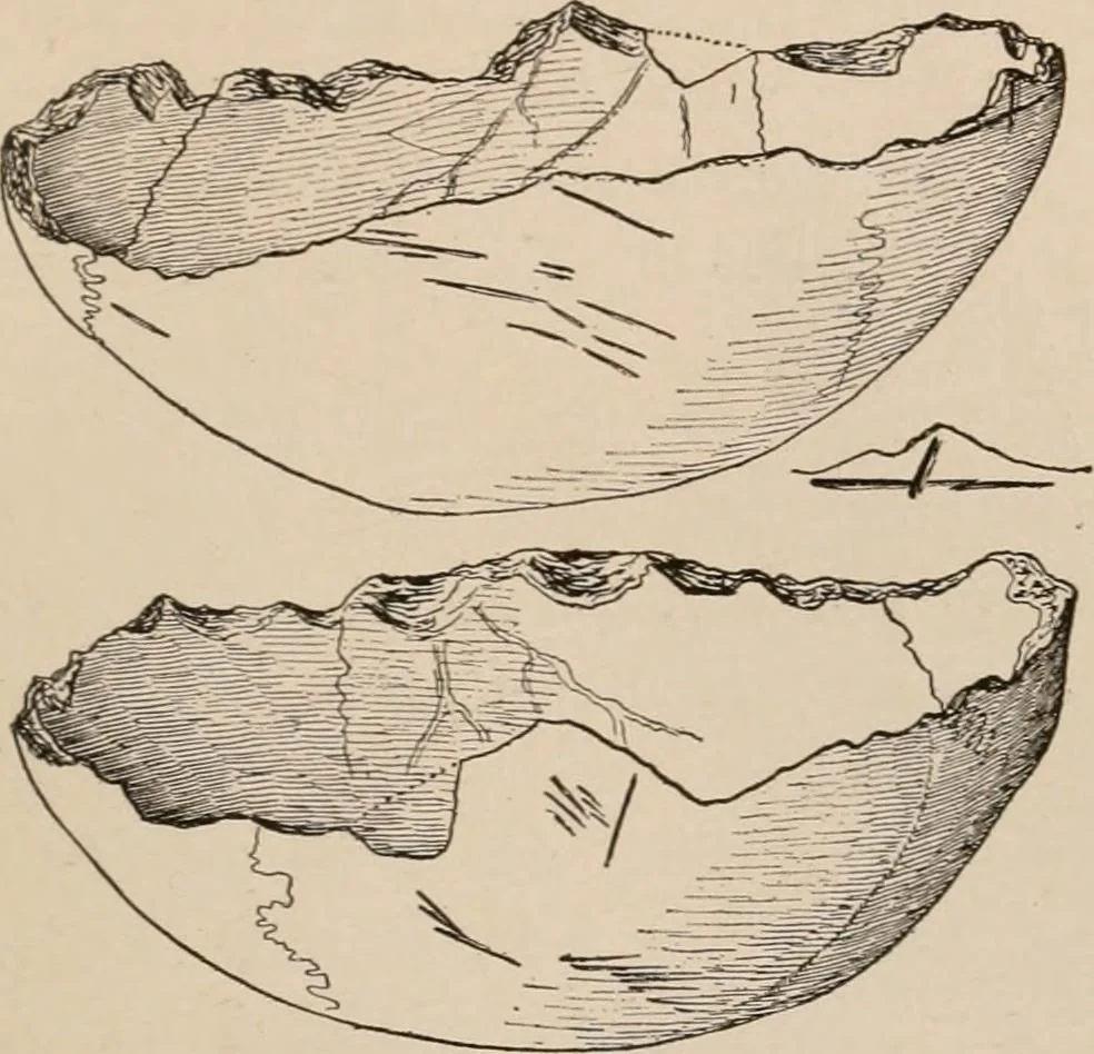 An illustration from Men of the old stone age : their environment, life and art, 1916, leaf 412