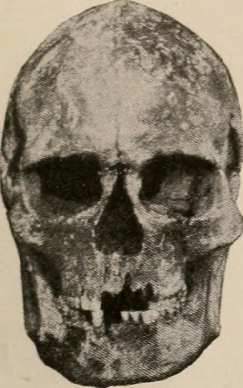An illustration from Men of the old stone age : their environment, life and art, 1916, leaf 414