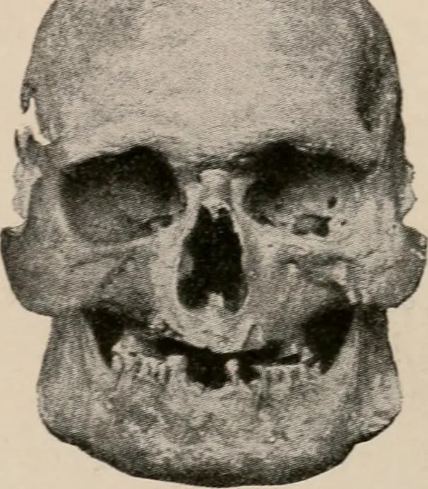 An illustration from Men of the old stone age : their environment, life and art, 1916, leaf 414