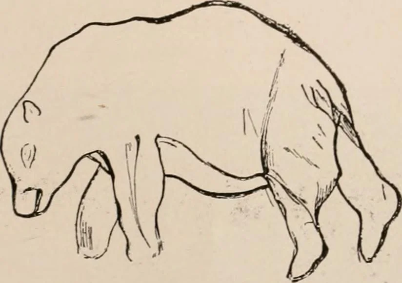 An illustration from Men of the old stone age : their environment, life and art, 1916, leaf 434