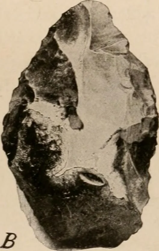 An illustration from Men of the old stone age : their environment, life and art, 1916, leaf 44
