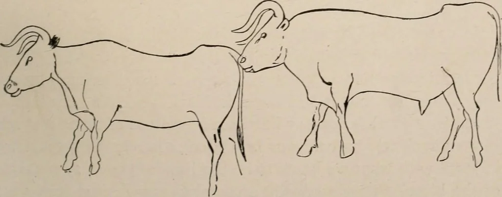 An illustration from Men of the old stone age : their environment, life and art, 1916, leaf 446