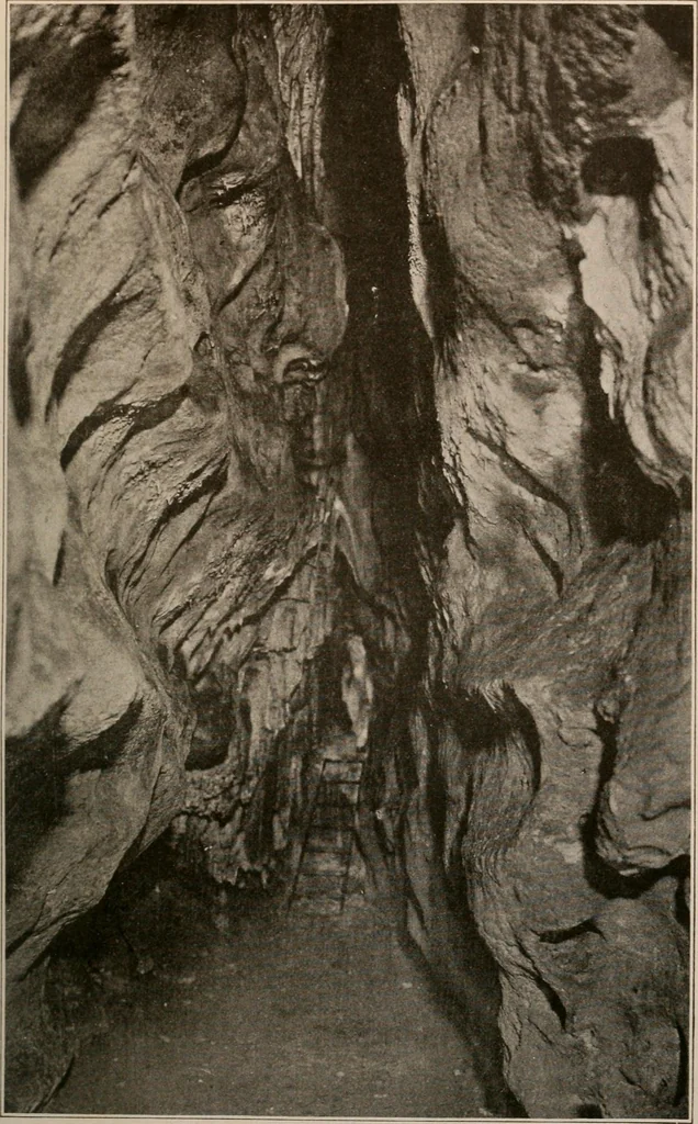 An illustration from Men of the old stone age : their environment, life and art, 1916, leaf 452