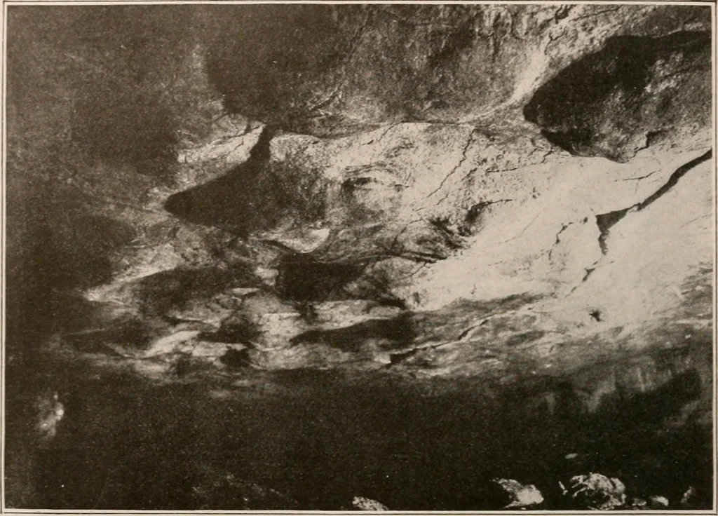 An illustration from Men of the old stone age : their environment, life and art, 1916, leaf 459