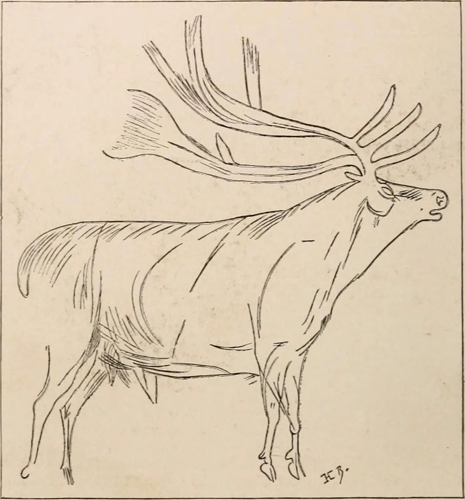 An illustration from Men of the old stone age : their environment, life and art, 1916, leaf 461