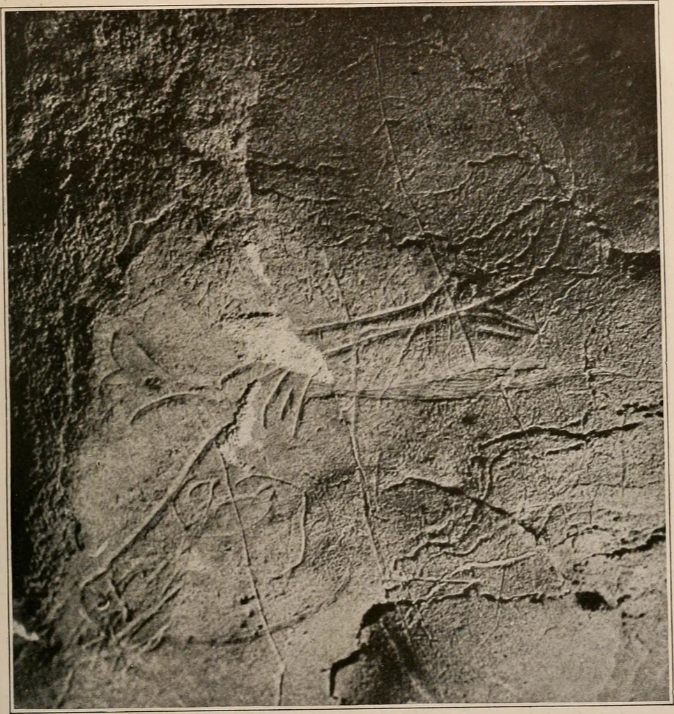 An illustration from Men of the old stone age : their environment, life and art, 1916, leaf 464