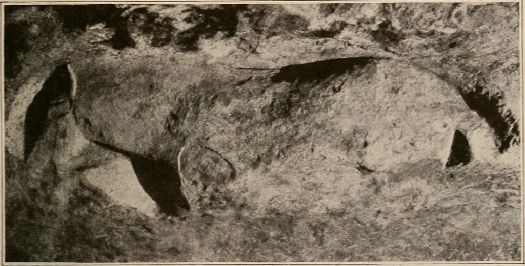An illustration from Men of the old stone age : their environment, life and art, 1916, leaf 466