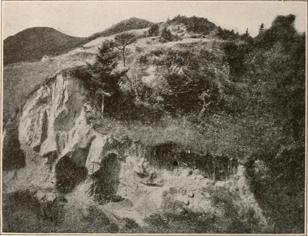 An illustration from Men of the old stone age : their environment, life and art, 1916, leaf 483