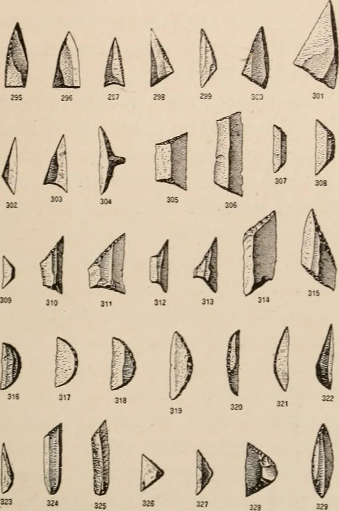 An illustration from Men of the old stone age : their environment, life and art, 1916, leaf 502