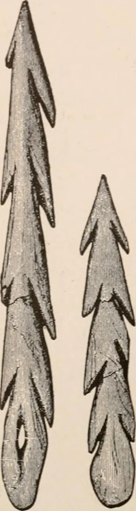 An illustration from Men of the old stone age : their environment, life and art, 1916, leaf 509