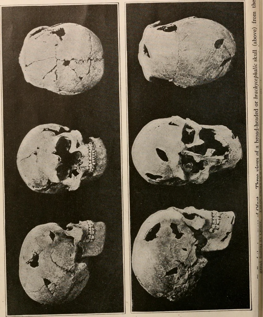 An illustration from Men of the old stone age : their environment, life and art, 1916, leaf 513