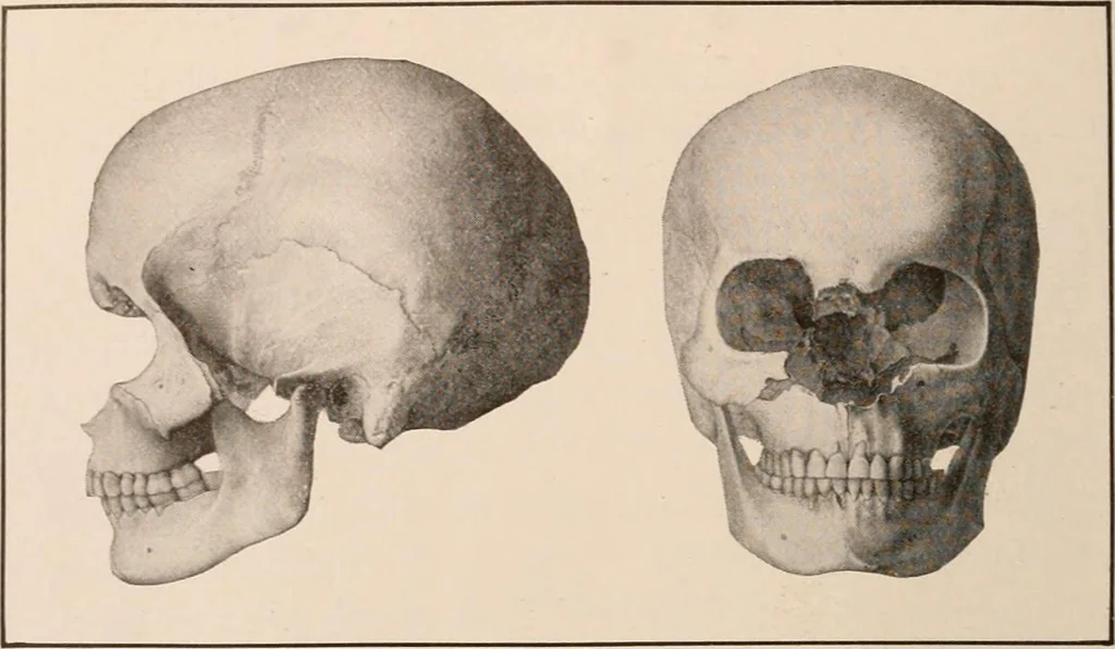 An illustration from Men of the old stone age : their environment, life and art, 1916, leaf 517