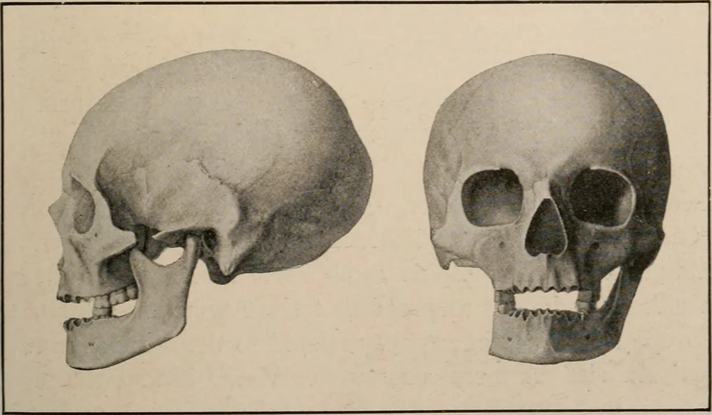 An illustration from Men of the old stone age : their environment, life and art, 1916, leaf 518