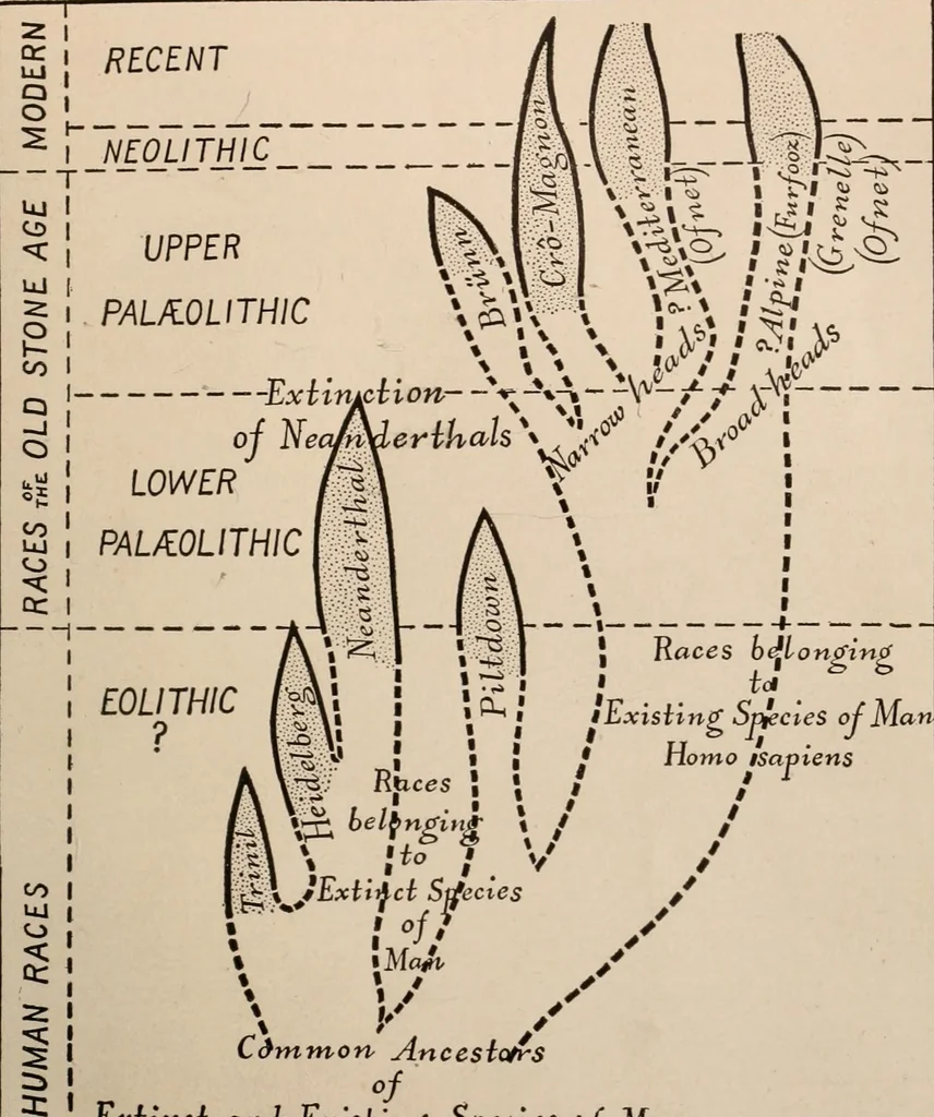 An illustration from Men of the old stone age : their environment, life and art, 1916, leaf 526