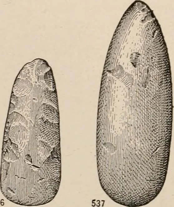 An illustration from Men of the old stone age : their environment, life and art, 1916, leaf 528