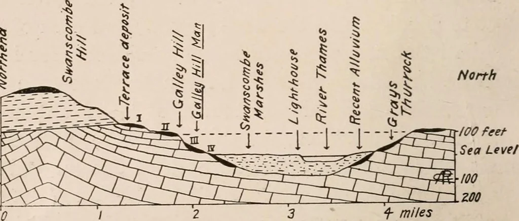 An illustration from Men of the old stone age : their environment, life and art, 1916, leaf 63