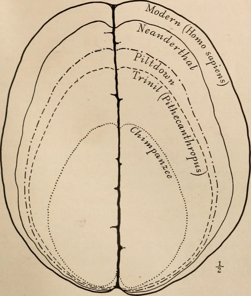 An illustration from Men of the old stone age : their environment, life and art, 1916, leaf 94