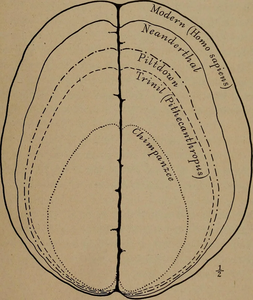 An illustration from Men of the old stone age, their environment, life and art, 1918, leaf 100