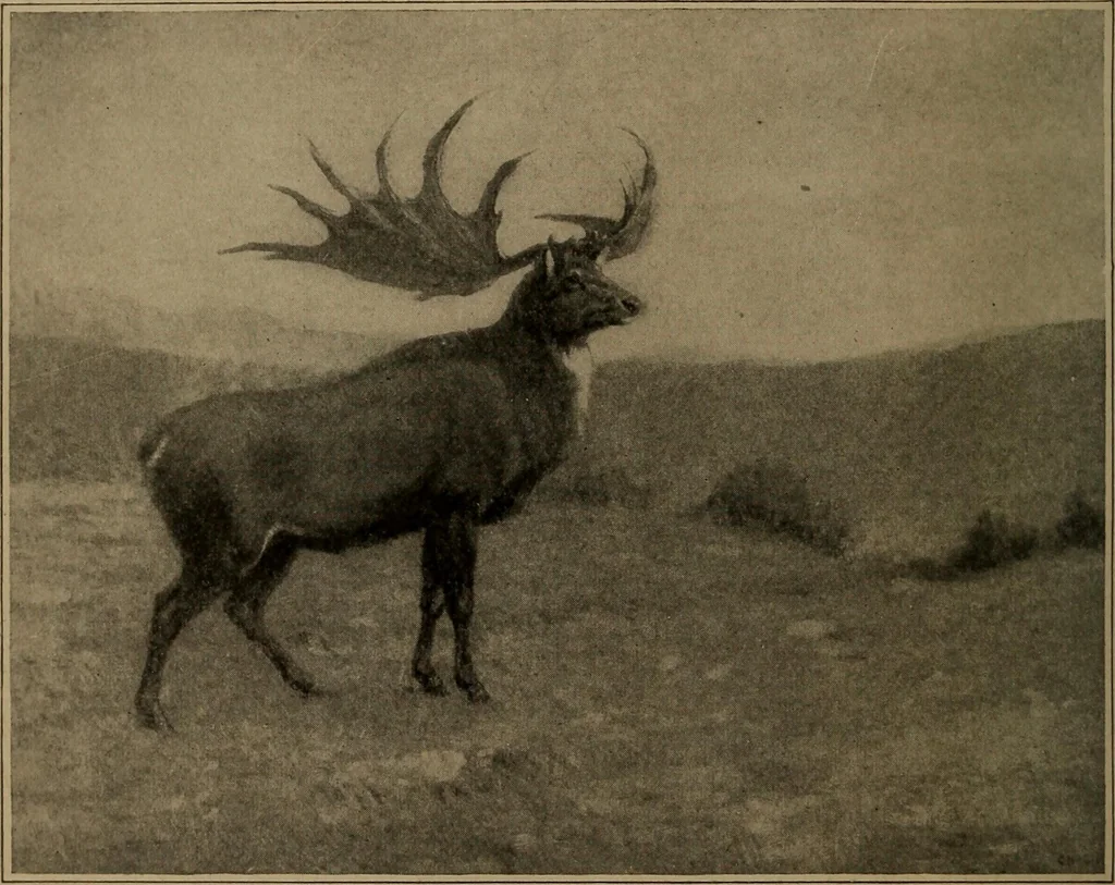 An illustration from Men of the old stone age, their environment, life and art, 1918, leaf 109