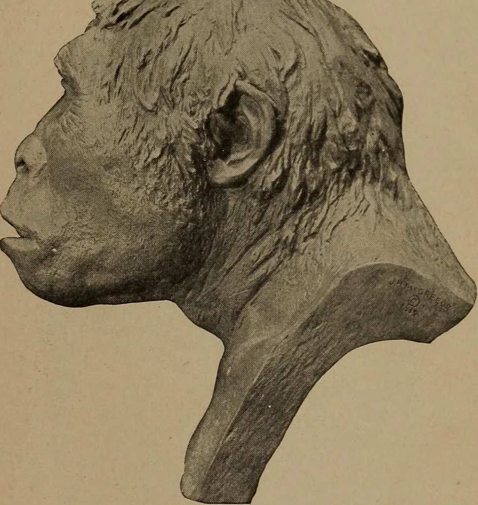 An illustration from Men of the old stone age, their environment, life and art, 1918, leaf 122