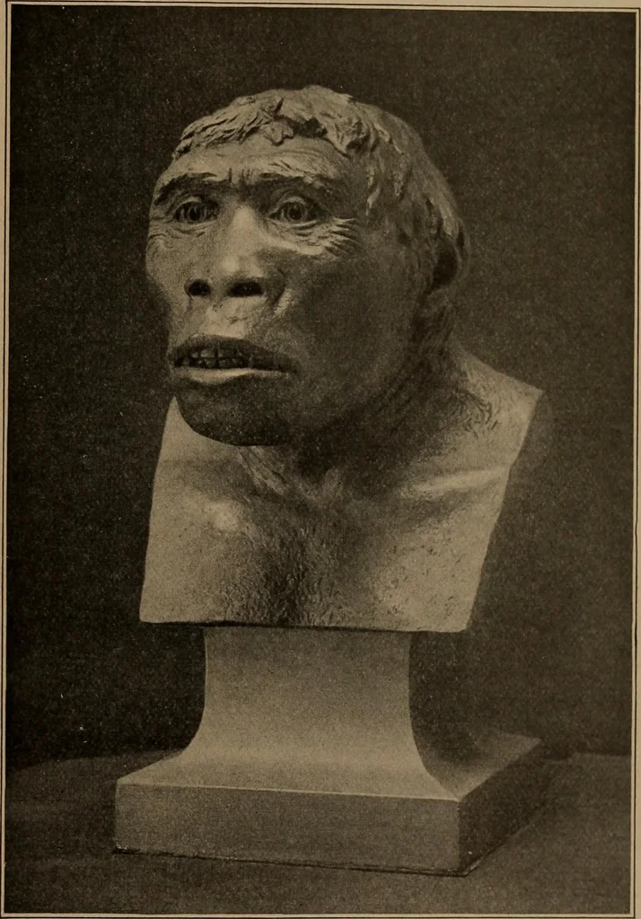 An illustration from Men of the old stone age, their environment, life and art, 1918, leaf 128