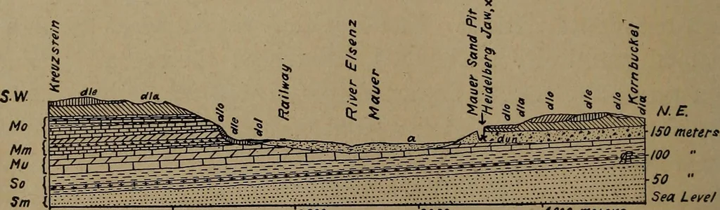 An illustration from Men of the old stone age, their environment, life and art, 1918, leaf 137