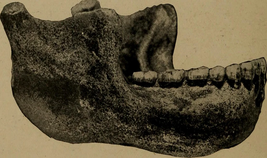 An illustration from Men of the old stone age, their environment, life and art, 1918, leaf 139