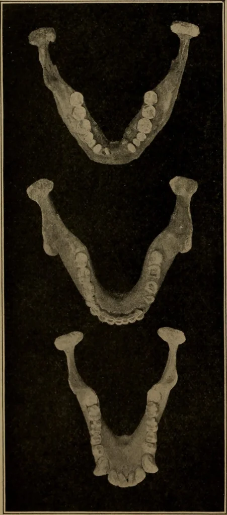 An illustration from Men of the old stone age, their environment, life and art, 1918, leaf 141