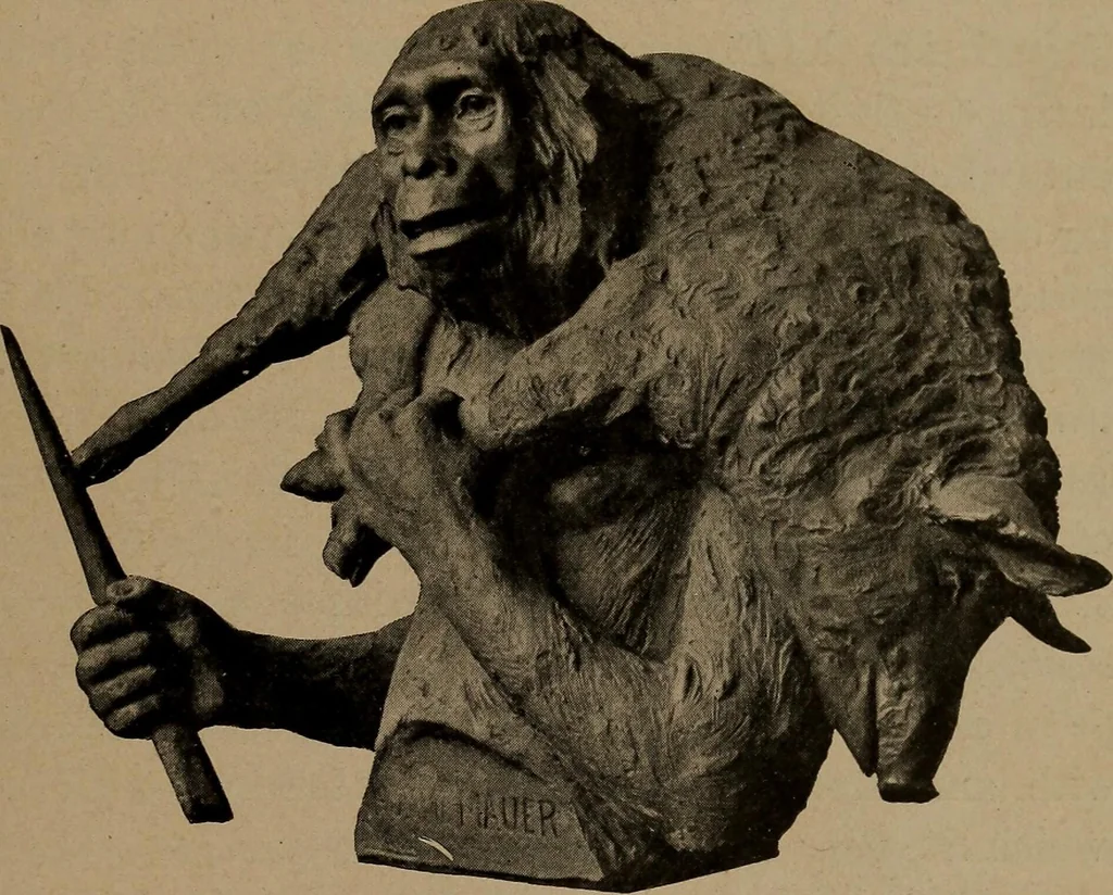 An illustration from Men of the old stone age, their environment, life and art, 1918, leaf 142
