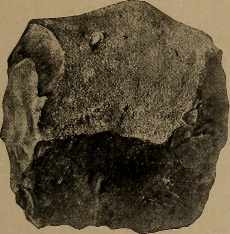 An illustration from Men of the old stone age, their environment, life and art, 1918, leaf 162