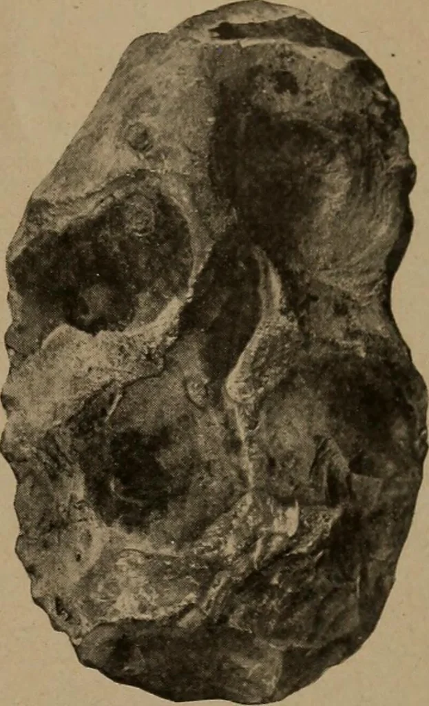 An illustration from Men of the old stone age, their environment, life and art, 1918, leaf 162