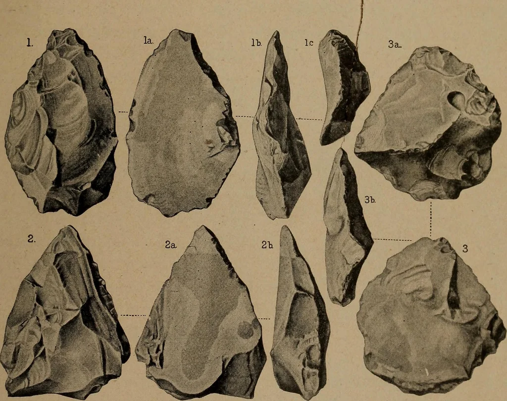 An illustration from Men of the old stone age, their environment, life and art, 1918, leaf 168