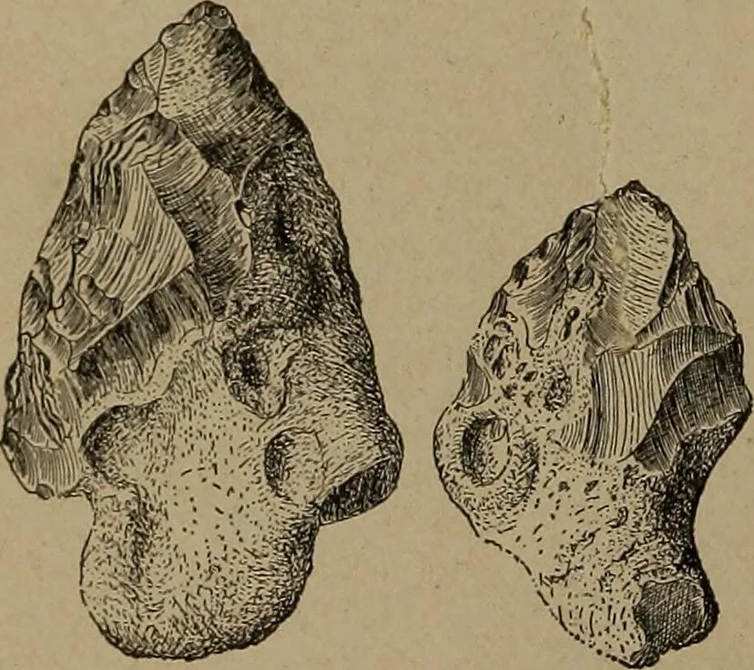 An illustration from Men of the old stone age, their environment, life and art, 1918, leaf 169