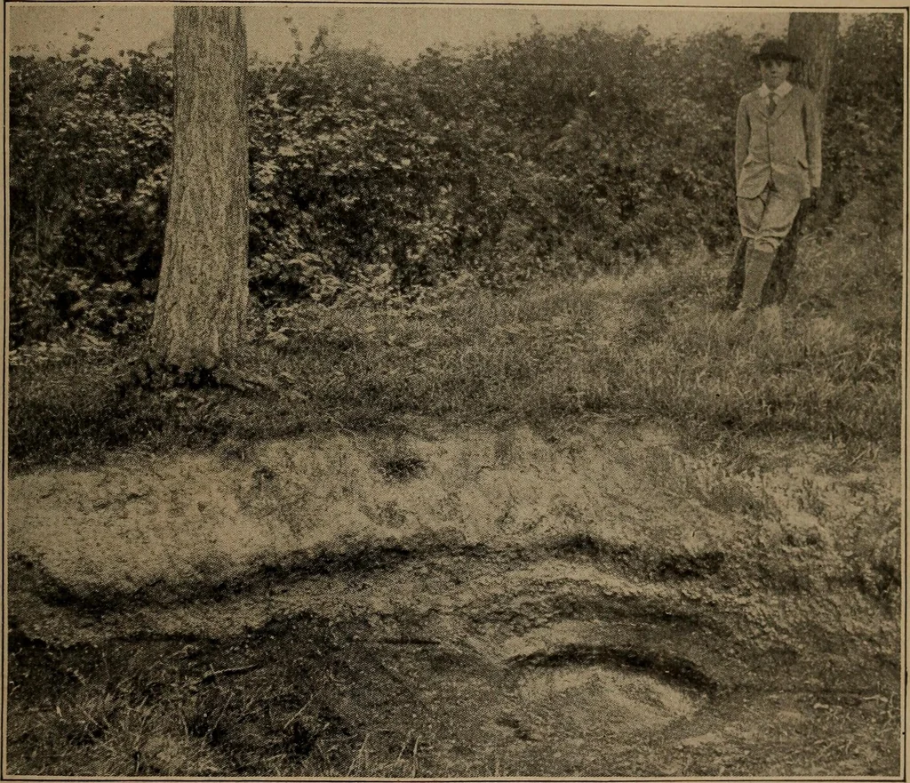An illustration from Men of the old stone age, their environment, life and art, 1918, leaf 172