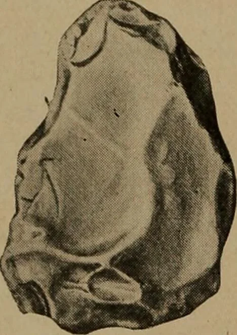 An illustration from Men of the old stone age, their environment, life and art, 1918, leaf 175