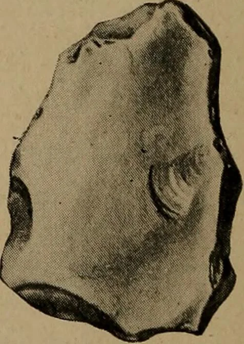 An illustration from Men of the old stone age, their environment, life and art, 1918, leaf 175
