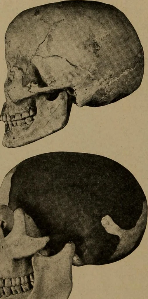 An illustration from Men of the old stone age, their environment, life and art, 1918, leaf 177