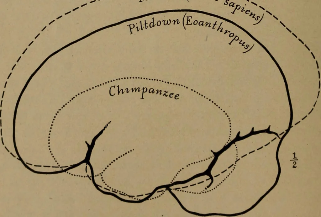 An illustration from Men of the old stone age, their environment, life and art, 1918, leaf 181