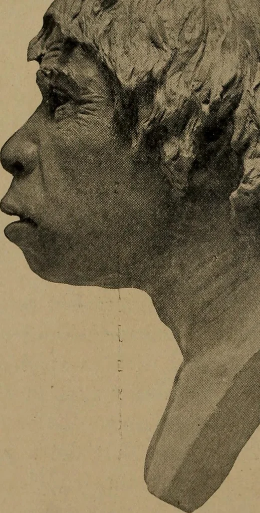 An illustration from Men of the old stone age, their environment, life and art, 1918, leaf 183