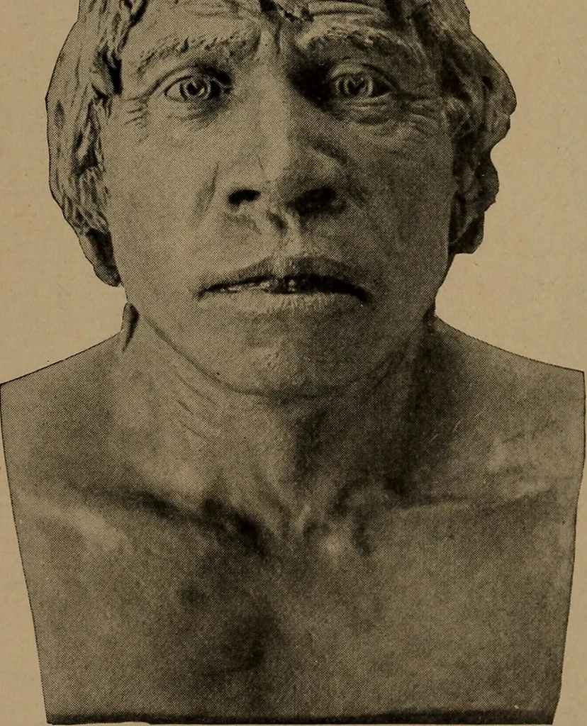 An illustration from Men of the old stone age, their environment, life and art, 1918, leaf 184