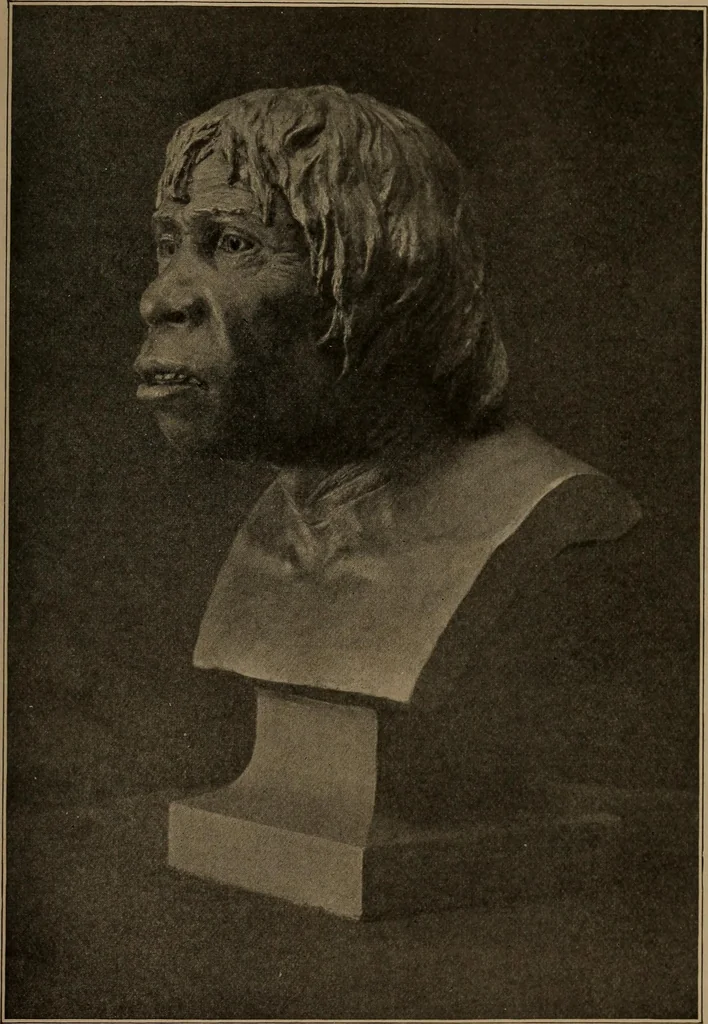 An illustration from Men of the old stone age, their environment, life and art, 1918, leaf 186
