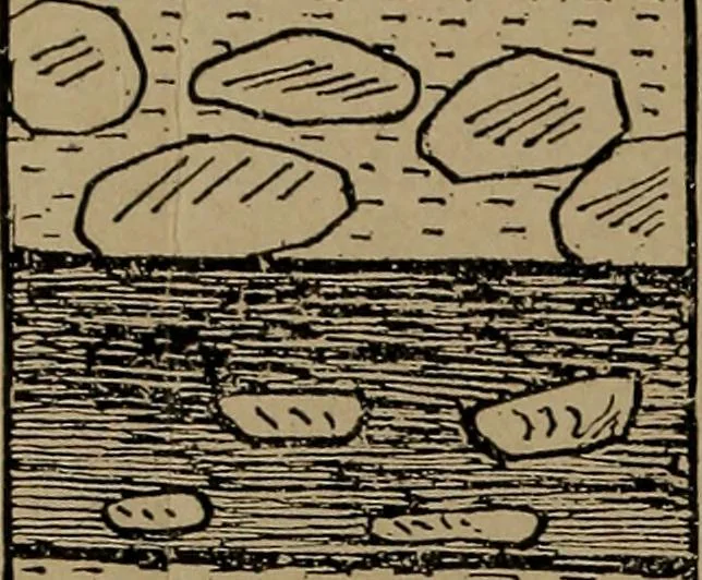 An illustration from Men of the old stone age, their environment, life and art, 1918, leaf 205