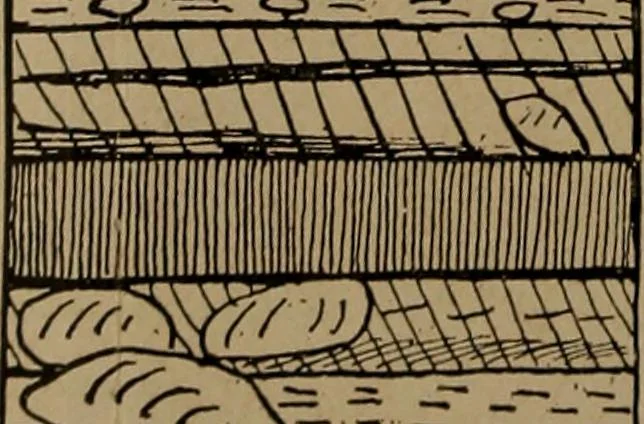 An illustration from Men of the old stone age, their environment, life and art, 1918, leaf 205