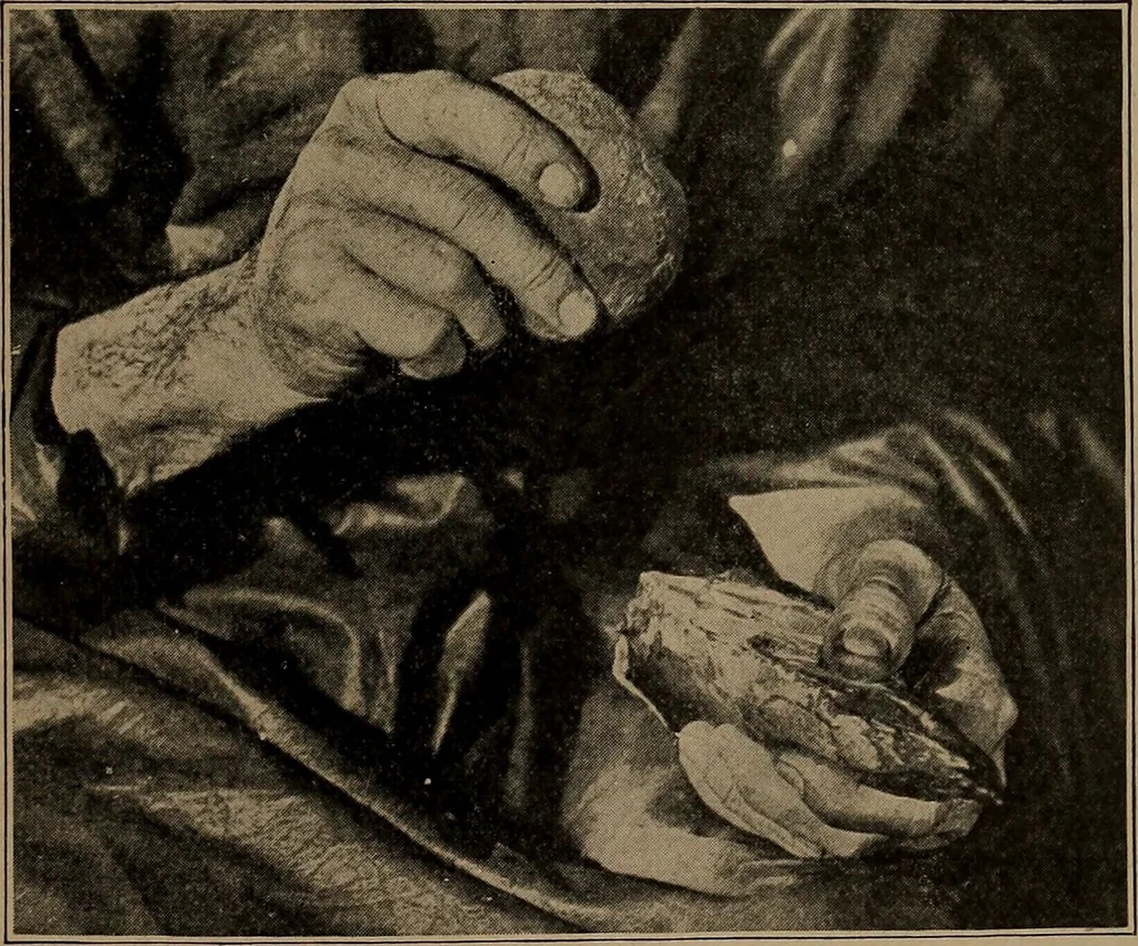 An illustration from Men of the old stone age, their environment, life and art, 1918, leaf 210