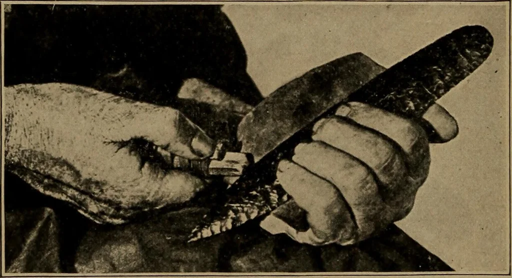 An illustration from Men of the old stone age, their environment, life and art, 1918, leaf 211