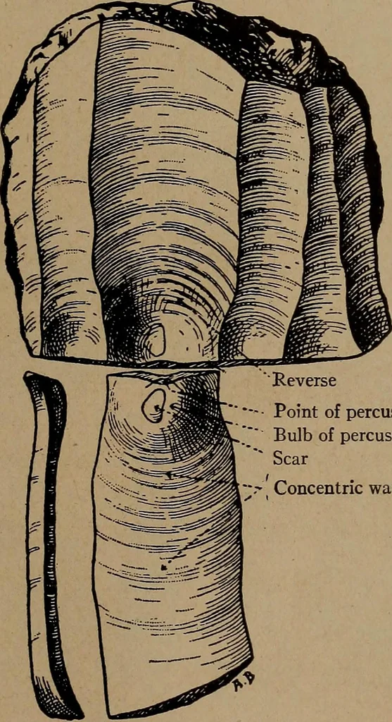 An illustration from Men of the old stone age, their environment, life and art, 1918, leaf 212