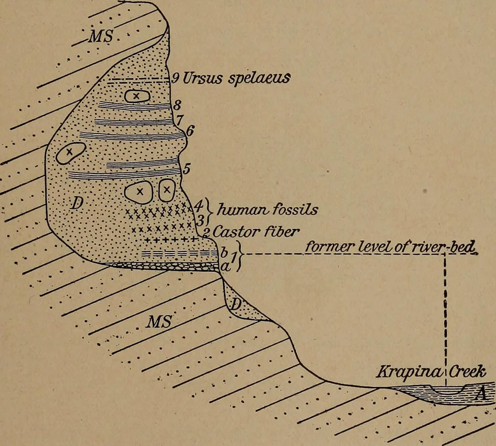 An illustration from Men of the old stone age, their environment, life and art, 1918, leaf 224