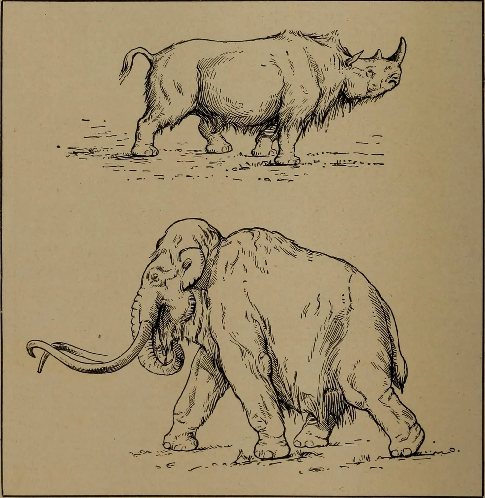 An illustration from Men of the old stone age, their environment, life and art, 1918, leaf 231